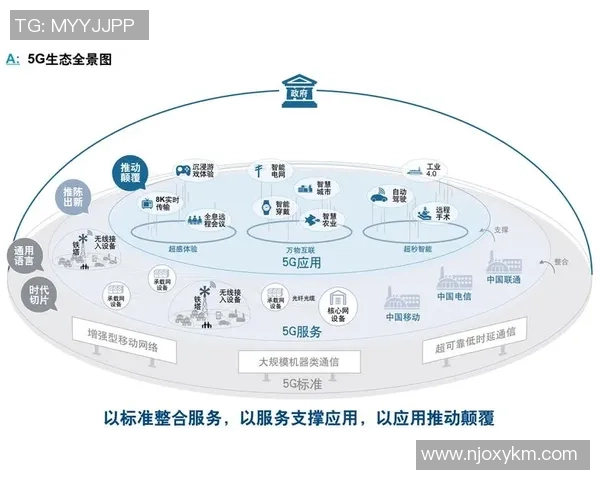 深圳羽毛球队转型之路的挑战与机遇全景解析