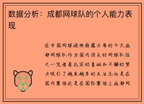 数据分析：成都网球队的个人能力表现